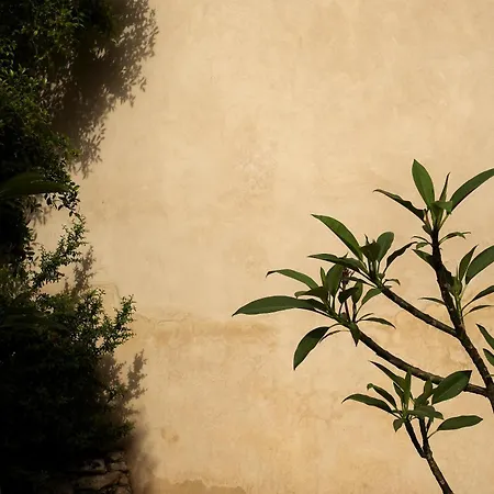 Boscarino Boutique & Hotel 4*